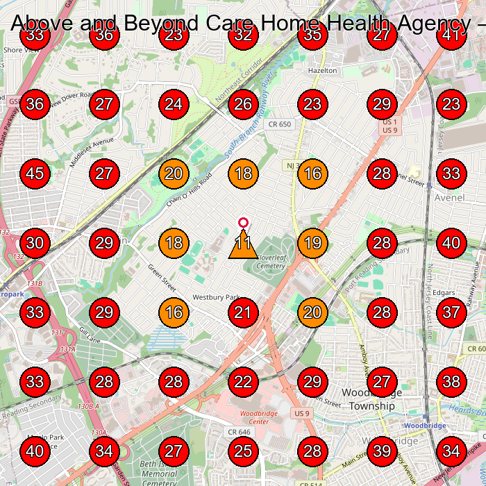 Above and Beyond Care Home Health Agency GeoGrid visibility map for Home Health Care Service in Edison